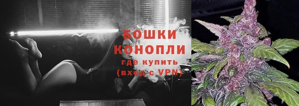 шишки Волосово
