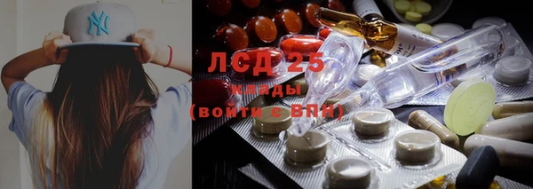 шишки Волосово