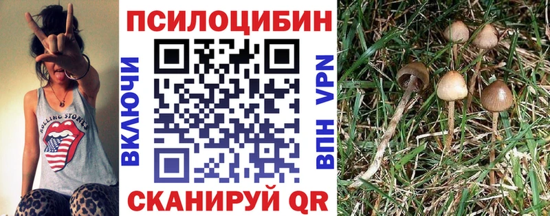 Псилоцибиновые грибы Psilocybine cubensis  Семёнов 