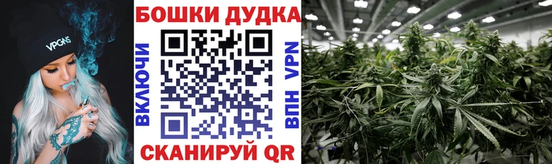 Марихуана план  Семёнов 
